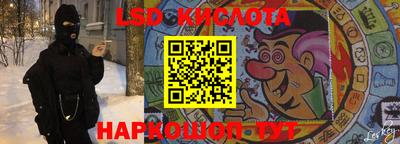 гидра Бердск