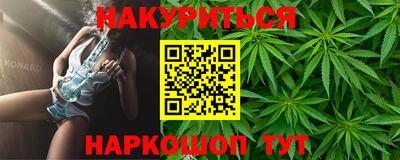гидра Бердск