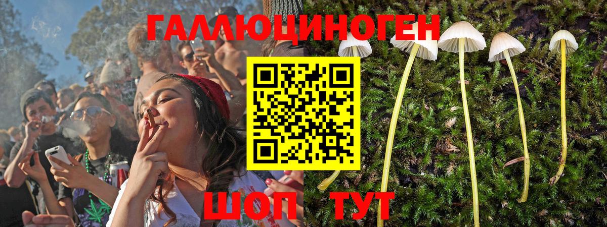 продажа наркотиков  Вход с VPN  Боровичи  Псилоцибиновые грибы прущие грибы 