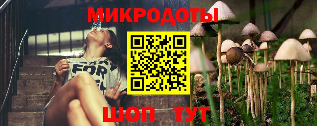 Галлюциногенные грибы GOLDEN TEACHER Боровичи